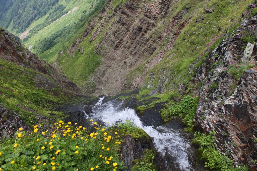 Бзерпинский карниз кавказский заповедник